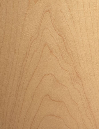 maple wood pattern